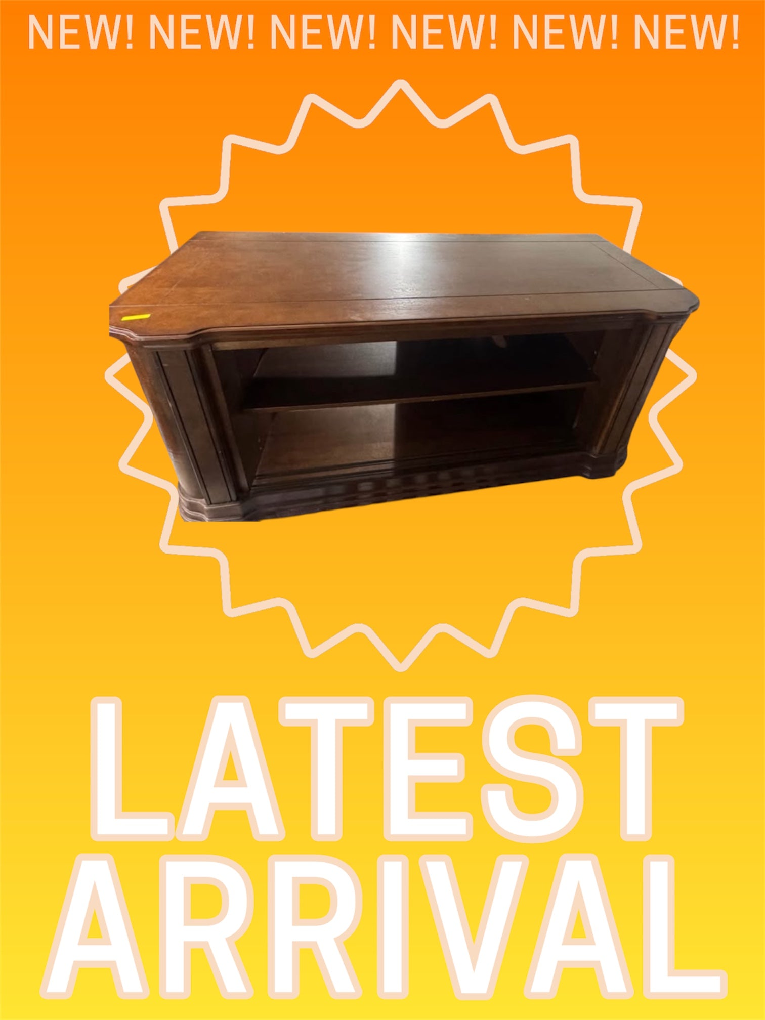 Coffee Table/ TV Stand